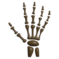 3d Symbol von Schädel Knochen png