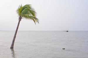 río erosión guión de costero cinturón bahía de Bengala. foto