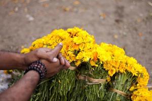 un del vendedor manos son sentado con amarillo flores esperando para el venta. foto