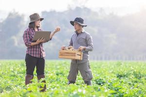 Farmer survey growth and quality using digital smart tablets to record data. Concept  Research and study problems in agriculture. Agronomist, Smart Farmer. photo