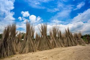 A sunny day, Blue white green and brown color layer in beautiful bangladesh jute drying scene at Madhabdi, Narsingdi, Bangladesh. photo