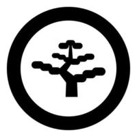 bonsai árbol japonés icono en circulo redondo negro color vector ilustración imagen sólido contorno estilo