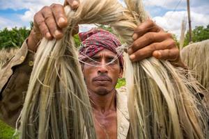 Bangladesh August 06, 2019 A Bangladeshi worker Showing wet jute fiber at Madhabdi, Narsingdi, Bangladesh. photo