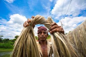 Bangladesh August 06, 2019 A Bangladeshi worker Showing wet jute fiber at Madhabdi, Narsingdi, Bangladesh. photo