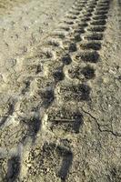 Wheel marks in the mud photo