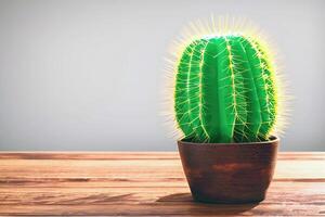 little cactus in a pot on wooden board, photo