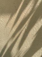 Leaves shadow background on concrete wall texture, leaves tree branches shade photo