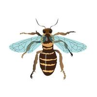 vector ilustración de un miel abeja en un blanco antecedentes. ver desde encima