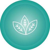 Spearmint Vector Icon