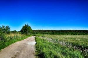 picturesque spring landscape with blue sky and green fields photo