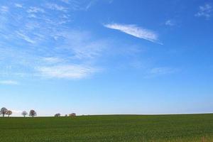 beautiful minimalist spring landscape plain with green meadows blue sky with white clouds photo