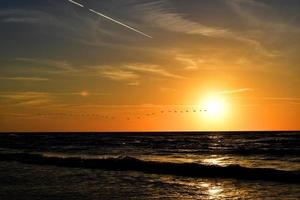 landscape with the setting sun at the Baltic Sea and the key of swans flying in the spring photo