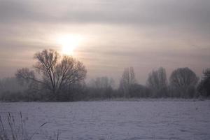 serene pastel winter morning with white snow and black trees and the sun piercing through the clouds in the sky photo