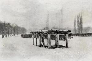 sad winter white-black landscape with trees in the snow in January photo