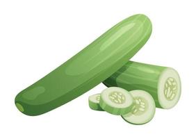 Set of cucumber whole, half and cut slice illustration isolated on white background vector