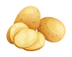 Set of potato whole, half and cut slice illustration isolated on white background vector