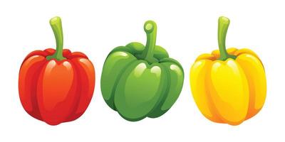 Set of bell peppers illustration isolated on white background vector