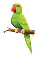 Cute green parrot sitting on branch cartoon illustration isolated on white background vector