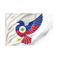 Taiwan Flagge Patriot Illustration, Taiwanese Flaggen Patriotismus, ai generiert png