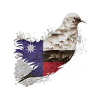 Taiwan flag patriot illustration, Taiwanese flags patriotism, png