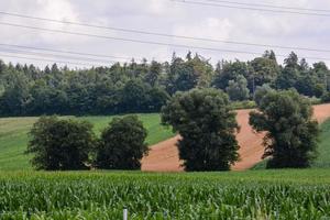 Scenic rural landscape photo