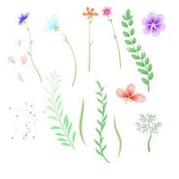set of floral watercolor elements for design vector