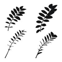 Real modern silhouettes plants, herbs. Drawing zamioculcas. Flat design art design template. vector