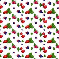 Seamless pattern of berries. Vector illustration of raspberries, strawberries, cranberries, blueberries.