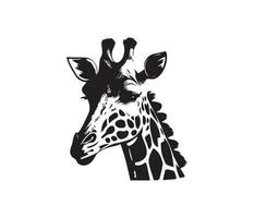jirafa rostro, siluetas jirafa rostro, negro y blanco jirafa vector
