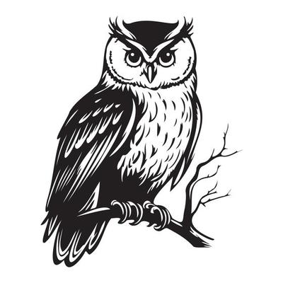 Owl Face, Silhouettes Owl Face SVG, black and white Owl vector