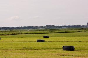 Scenic rural landscape photo