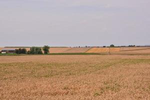 Scenic rural landscape photo