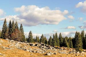 Scenic rural landscape photo