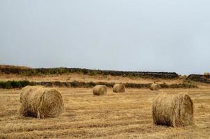 Scenic rural landscape photo