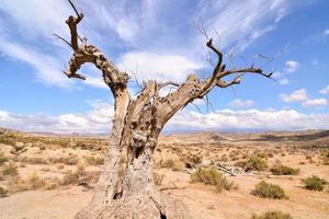 Scenic rural landscape photo