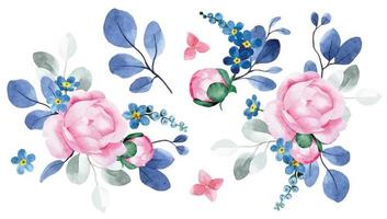 acuarela dibujo. ramo de flores de peonía flores y eucalipto hojas. rosado flores y azul hojas vector