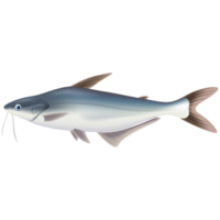 carino mare pesce cartone animato png