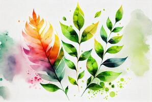 Spring leaves drawn in watercolor style. photo