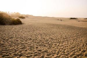 Scenic desert landscape photo