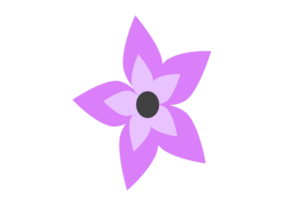 Modern object flower, food, work, silhouette, furniture and liftstyle png