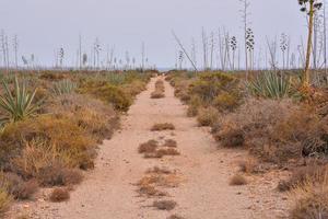 Scenic rural landscape photo