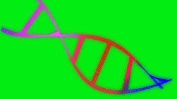 adn molécula estructura hélice humano Ciencias genético biotecnología. adn cuerda estructura metálica escombros espiral. digital plexo humano genoma adn médico investigación. adn cadena construcción verde pantalla animación. video