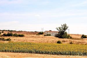 escénico rural paisaje foto