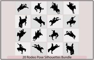 rodeo pose vector bundle