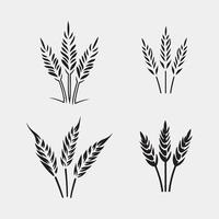 Set of rye and wheat vector design