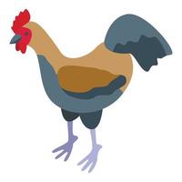 gallo icono isométrica vector. pollo pájaro vector