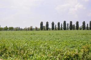 escénico rural paisaje foto