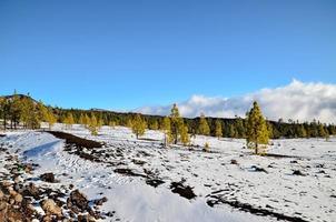 Scenic rural landscape photo