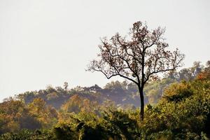 Scenic rural landscape photo