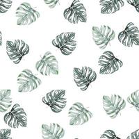 Stylized monstera leaves seamless pattern. Leaf background. Hawaiian rainforest floral backdrop. Exotic jungle plants endless wallpaper. V vector